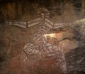 0921-1623 NT Kakadu (9212916)